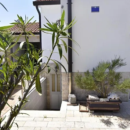 Geraeumige Kellerwohnung In Der Naehe Von Apartment Umag
